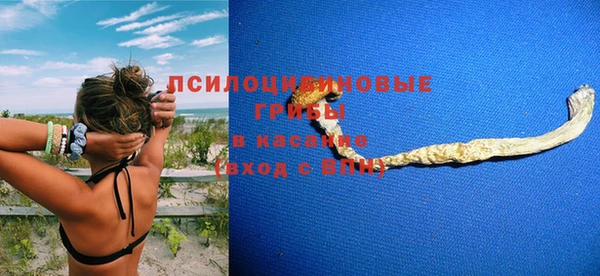 стафф Богданович