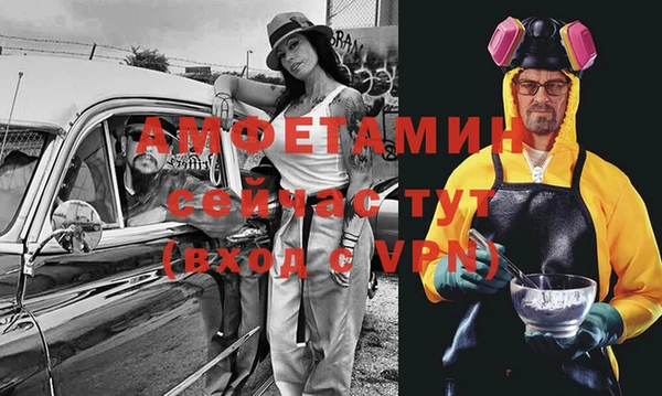 спиды Богородицк