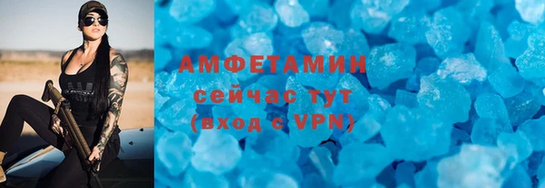 спиды Богородицк