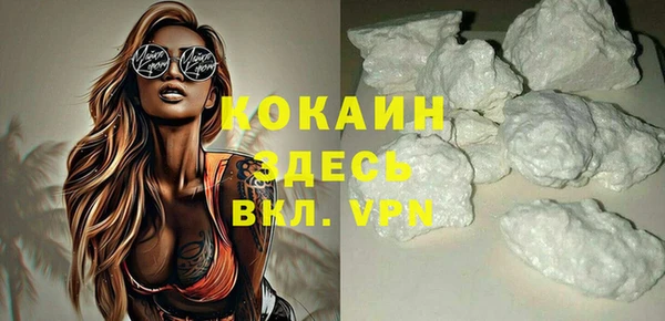 спиды Богородицк