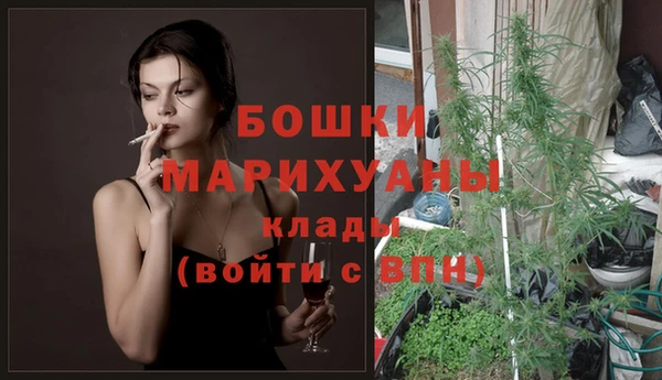 спиды Богородицк