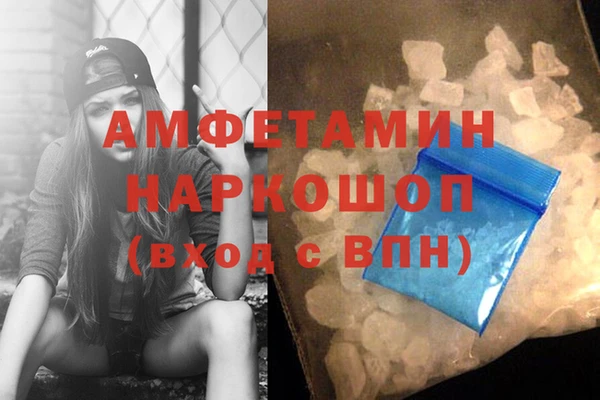 спиды Богородицк