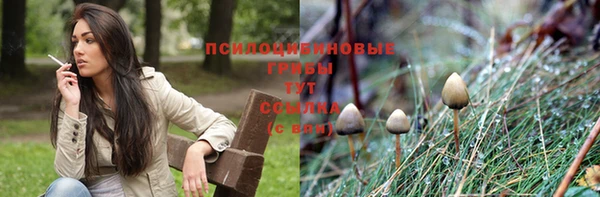 стафф Богданович