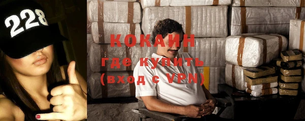 спиды Богородицк